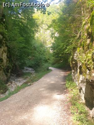 [P15] prin Prăpăstiile Zărneștiului » foto by robert
 - 
<span class="allrVoted glyphicon glyphicon-heart hidden" id="av1183112"></span>
<a class="m-l-10 hidden" id="sv1183112" onclick="voting_Foto_DelVot(,1183112,5764)" role="button">șterge vot <span class="glyphicon glyphicon-remove"></span></a>
<a id="v91183112" class=" c-red"  onclick="voting_Foto_SetVot(1183112)" role="button"><span class="glyphicon glyphicon-heart-empty"></span> <b>LIKE</b> = Votează poza</a> <img class="hidden"  id="f1183112W9" src="/imagini/loader.gif" border="0" /><span class="AjErrMes hidden" id="e1183112ErM"></span>