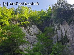 [P23] Cheile Pisicii » foto by robert
 - 
<span class="allrVoted glyphicon glyphicon-heart hidden" id="av1183120"></span>
<a class="m-l-10 hidden" id="sv1183120" onclick="voting_Foto_DelVot(,1183120,5764)" role="button">șterge vot <span class="glyphicon glyphicon-remove"></span></a>
<a id="v91183120" class=" c-red"  onclick="voting_Foto_SetVot(1183120)" role="button"><span class="glyphicon glyphicon-heart-empty"></span> <b>LIKE</b> = Votează poza</a> <img class="hidden"  id="f1183120W9" src="/imagini/loader.gif" border="0" /><span class="AjErrMes hidden" id="e1183120ErM"></span>