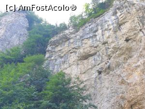 [P27] Cheile Pisicii » foto by robert
 - 
<span class="allrVoted glyphicon glyphicon-heart hidden" id="av1183124"></span>
<a class="m-l-10 hidden" id="sv1183124" onclick="voting_Foto_DelVot(,1183124,5764)" role="button">șterge vot <span class="glyphicon glyphicon-remove"></span></a>
<a id="v91183124" class=" c-red"  onclick="voting_Foto_SetVot(1183124)" role="button"><span class="glyphicon glyphicon-heart-empty"></span> <b>LIKE</b> = Votează poza</a> <img class="hidden"  id="f1183124W9" src="/imagini/loader.gif" border="0" /><span class="AjErrMes hidden" id="e1183124ErM"></span>