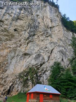 [P28] Cheile Pisicii » foto by robert
 - 
<span class="allrVoted glyphicon glyphicon-heart hidden" id="av1183125"></span>
<a class="m-l-10 hidden" id="sv1183125" onclick="voting_Foto_DelVot(,1183125,5764)" role="button">șterge vot <span class="glyphicon glyphicon-remove"></span></a>
<a id="v91183125" class=" c-red"  onclick="voting_Foto_SetVot(1183125)" role="button"><span class="glyphicon glyphicon-heart-empty"></span> <b>LIKE</b> = Votează poza</a> <img class="hidden"  id="f1183125W9" src="/imagini/loader.gif" border="0" /><span class="AjErrMes hidden" id="e1183125ErM"></span>