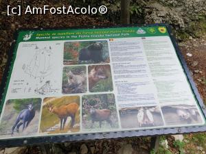 [P29] animale rezidente » foto by robert
 - 
<span class="allrVoted glyphicon glyphicon-heart hidden" id="av1183126"></span>
<a class="m-l-10 hidden" id="sv1183126" onclick="voting_Foto_DelVot(,1183126,5764)" role="button">șterge vot <span class="glyphicon glyphicon-remove"></span></a>
<a id="v91183126" class=" c-red"  onclick="voting_Foto_SetVot(1183126)" role="button"><span class="glyphicon glyphicon-heart-empty"></span> <b>LIKE</b> = Votează poza</a> <img class="hidden"  id="f1183126W9" src="/imagini/loader.gif" border="0" /><span class="AjErrMes hidden" id="e1183126ErM"></span>