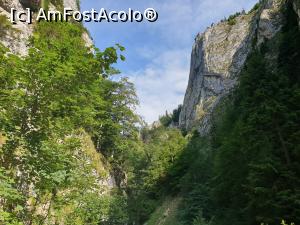 [P31] Cheile Pisicii » foto by robert
 - 
<span class="allrVoted glyphicon glyphicon-heart hidden" id="av1183128"></span>
<a class="m-l-10 hidden" id="sv1183128" onclick="voting_Foto_DelVot(,1183128,5764)" role="button">șterge vot <span class="glyphicon glyphicon-remove"></span></a>
<a id="v91183128" class=" c-red"  onclick="voting_Foto_SetVot(1183128)" role="button"><span class="glyphicon glyphicon-heart-empty"></span> <b>LIKE</b> = Votează poza</a> <img class="hidden"  id="f1183128W9" src="/imagini/loader.gif" border="0" /><span class="AjErrMes hidden" id="e1183128ErM"></span>