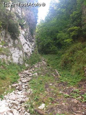 [P38] Prăpăstiile Zărneștilor » foto by robert
 - 
<span class="allrVoted glyphicon glyphicon-heart hidden" id="av1183135"></span>
<a class="m-l-10 hidden" id="sv1183135" onclick="voting_Foto_DelVot(,1183135,5764)" role="button">șterge vot <span class="glyphicon glyphicon-remove"></span></a>
<a id="v91183135" class=" c-red"  onclick="voting_Foto_SetVot(1183135)" role="button"><span class="glyphicon glyphicon-heart-empty"></span> <b>LIKE</b> = Votează poza</a> <img class="hidden"  id="f1183135W9" src="/imagini/loader.gif" border="0" /><span class="AjErrMes hidden" id="e1183135ErM"></span>