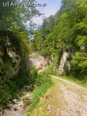 [P41] traseul e f frumos » foto by robert
 - 
<span class="allrVoted glyphicon glyphicon-heart hidden" id="av1183138"></span>
<a class="m-l-10 hidden" id="sv1183138" onclick="voting_Foto_DelVot(,1183138,5764)" role="button">șterge vot <span class="glyphicon glyphicon-remove"></span></a>
<a id="v91183138" class=" c-red"  onclick="voting_Foto_SetVot(1183138)" role="button"><span class="glyphicon glyphicon-heart-empty"></span> <b>LIKE</b> = Votează poza</a> <img class="hidden"  id="f1183138W9" src="/imagini/loader.gif" border="0" /><span class="AjErrMes hidden" id="e1183138ErM"></span>