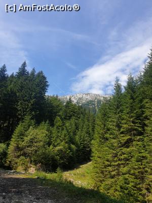 [P44] Creasta Piatra Craiului » foto by robert
 - 
<span class="allrVoted glyphicon glyphicon-heart hidden" id="av1183141"></span>
<a class="m-l-10 hidden" id="sv1183141" onclick="voting_Foto_DelVot(,1183141,5764)" role="button">șterge vot <span class="glyphicon glyphicon-remove"></span></a>
<a id="v91183141" class=" c-red"  onclick="voting_Foto_SetVot(1183141)" role="button"><span class="glyphicon glyphicon-heart-empty"></span> <b>LIKE</b> = Votează poza</a> <img class="hidden"  id="f1183141W9" src="/imagini/loader.gif" border="0" /><span class="AjErrMes hidden" id="e1183141ErM"></span>