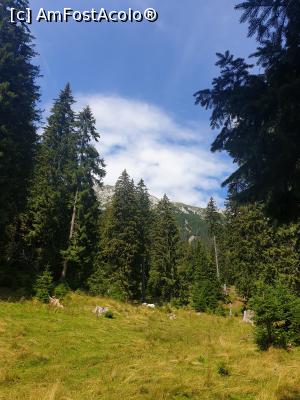 [P47] pe La Table » foto by robert
 - 
<span class="allrVoted glyphicon glyphicon-heart hidden" id="av1183144"></span>
<a class="m-l-10 hidden" id="sv1183144" onclick="voting_Foto_DelVot(,1183144,5764)" role="button">șterge vot <span class="glyphicon glyphicon-remove"></span></a>
<a id="v91183144" class=" c-red"  onclick="voting_Foto_SetVot(1183144)" role="button"><span class="glyphicon glyphicon-heart-empty"></span> <b>LIKE</b> = Votează poza</a> <img class="hidden"  id="f1183144W9" src="/imagini/loader.gif" border="0" /><span class="AjErrMes hidden" id="e1183144ErM"></span>