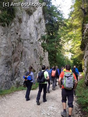 [P05] gașca veselă » foto by robert
 - 
<span class="allrVoted glyphicon glyphicon-heart hidden" id="av1183102"></span>
<a class="m-l-10 hidden" id="sv1183102" onclick="voting_Foto_DelVot(,1183102,5764)" role="button">șterge vot <span class="glyphicon glyphicon-remove"></span></a>
<a id="v91183102" class=" c-red"  onclick="voting_Foto_SetVot(1183102)" role="button"><span class="glyphicon glyphicon-heart-empty"></span> <b>LIKE</b> = Votează poza</a> <img class="hidden"  id="f1183102W9" src="/imagini/loader.gif" border="0" /><span class="AjErrMes hidden" id="e1183102ErM"></span>