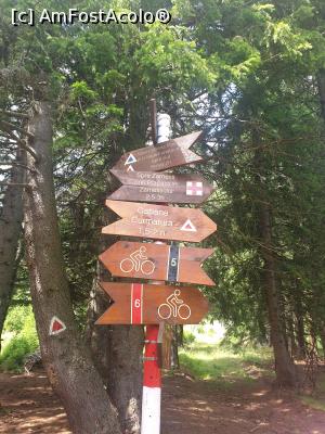 [P51] pe unde-o luăm? » foto by robert
 - 
<span class="allrVoted glyphicon glyphicon-heart hidden" id="av1183148"></span>
<a class="m-l-10 hidden" id="sv1183148" onclick="voting_Foto_DelVot(,1183148,5764)" role="button">șterge vot <span class="glyphicon glyphicon-remove"></span></a>
<a id="v91183148" class=" c-red"  onclick="voting_Foto_SetVot(1183148)" role="button"><span class="glyphicon glyphicon-heart-empty"></span> <b>LIKE</b> = Votează poza</a> <img class="hidden"  id="f1183148W9" src="/imagini/loader.gif" border="0" /><span class="AjErrMes hidden" id="e1183148ErM"></span>