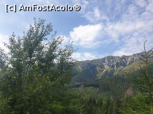 [P52] Creasta Piatra Craiului » foto by robert
 - 
<span class="allrVoted glyphicon glyphicon-heart hidden" id="av1183149"></span>
<a class="m-l-10 hidden" id="sv1183149" onclick="voting_Foto_DelVot(,1183149,5764)" role="button">șterge vot <span class="glyphicon glyphicon-remove"></span></a>
<a id="v91183149" class=" c-red"  onclick="voting_Foto_SetVot(1183149)" role="button"><span class="glyphicon glyphicon-heart-empty"></span> <b>LIKE</b> = Votează poza</a> <img class="hidden"  id="f1183149W9" src="/imagini/loader.gif" border="0" /><span class="AjErrMes hidden" id="e1183149ErM"></span>