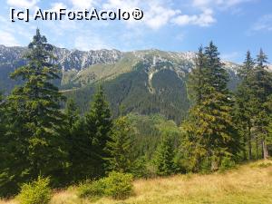 [P56] Creasta Piatra Craiului » foto by robert
 - 
<span class="allrVoted glyphicon glyphicon-heart hidden" id="av1183153"></span>
<a class="m-l-10 hidden" id="sv1183153" onclick="voting_Foto_DelVot(,1183153,5764)" role="button">șterge vot <span class="glyphicon glyphicon-remove"></span></a>
<a id="v91183153" class=" c-red"  onclick="voting_Foto_SetVot(1183153)" role="button"><span class="glyphicon glyphicon-heart-empty"></span> <b>LIKE</b> = Votează poza</a> <img class="hidden"  id="f1183153W9" src="/imagini/loader.gif" border="0" /><span class="AjErrMes hidden" id="e1183153ErM"></span>