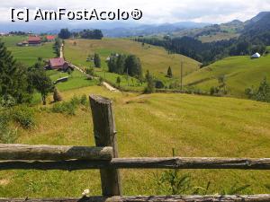 [P61] sate de poveste » foto by robert
 - 
<span class="allrVoted glyphicon glyphicon-heart hidden" id="av1183158"></span>
<a class="m-l-10 hidden" id="sv1183158" onclick="voting_Foto_DelVot(,1183158,5764)" role="button">șterge vot <span class="glyphicon glyphicon-remove"></span></a>
<a id="v91183158" class=" c-red"  onclick="voting_Foto_SetVot(1183158)" role="button"><span class="glyphicon glyphicon-heart-empty"></span> <b>LIKE</b> = Votează poza</a> <img class="hidden"  id="f1183158W9" src="/imagini/loader.gif" border="0" /><span class="AjErrMes hidden" id="e1183158ErM"></span>