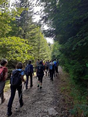 [P07] am plecat la drum » foto by robert
 - 
<span class="allrVoted glyphicon glyphicon-heart hidden" id="av1183104"></span>
<a class="m-l-10 hidden" id="sv1183104" onclick="voting_Foto_DelVot(,1183104,5764)" role="button">șterge vot <span class="glyphicon glyphicon-remove"></span></a>
<a id="v91183104" class=" c-red"  onclick="voting_Foto_SetVot(1183104)" role="button"><span class="glyphicon glyphicon-heart-empty"></span> <b>LIKE</b> = Votează poza</a> <img class="hidden"  id="f1183104W9" src="/imagini/loader.gif" border="0" /><span class="AjErrMes hidden" id="e1183104ErM"></span>