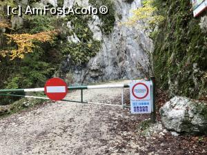 [P16] intrarea in Prapastiile Zarnestilor » foto by Dan&Ema
 - 
<span class="allrVoted glyphicon glyphicon-heart hidden" id="av1201814"></span>
<a class="m-l-10 hidden" id="sv1201814" onclick="voting_Foto_DelVot(,1201814,5764)" role="button">șterge vot <span class="glyphicon glyphicon-remove"></span></a>
<a id="v91201814" class=" c-red"  onclick="voting_Foto_SetVot(1201814)" role="button"><span class="glyphicon glyphicon-heart-empty"></span> <b>LIKE</b> = Votează poza</a> <img class="hidden"  id="f1201814W9" src="/imagini/loader.gif" border="0" /><span class="AjErrMes hidden" id="e1201814ErM"></span>