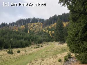 [P26] Poiana Vladusca » foto by Dan&Ema
 - 
<span class="allrVoted glyphicon glyphicon-heart hidden" id="av1201824"></span>
<a class="m-l-10 hidden" id="sv1201824" onclick="voting_Foto_DelVot(,1201824,5764)" role="button">șterge vot <span class="glyphicon glyphicon-remove"></span></a>
<a id="v91201824" class=" c-red"  onclick="voting_Foto_SetVot(1201824)" role="button"><span class="glyphicon glyphicon-heart-empty"></span> <b>LIKE</b> = Votează poza</a> <img class="hidden"  id="f1201824W9" src="/imagini/loader.gif" border="0" /><span class="AjErrMes hidden" id="e1201824ErM"></span>