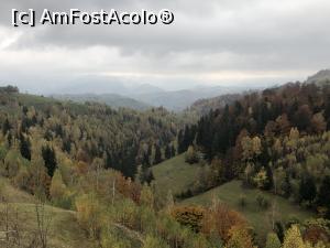 [P42] peisaj de toamna pe maguri » foto by Dan&Ema
 - 
<span class="allrVoted glyphicon glyphicon-heart hidden" id="av1201840"></span>
<a class="m-l-10 hidden" id="sv1201840" onclick="voting_Foto_DelVot(,1201840,5764)" role="button">șterge vot <span class="glyphicon glyphicon-remove"></span></a>
<a id="v91201840" class=" c-red"  onclick="voting_Foto_SetVot(1201840)" role="button"><span class="glyphicon glyphicon-heart-empty"></span> <b>LIKE</b> = Votează poza</a> <img class="hidden"  id="f1201840W9" src="/imagini/loader.gif" border="0" /><span class="AjErrMes hidden" id="e1201840ErM"></span>