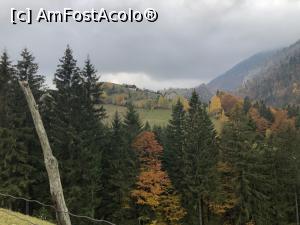 [P49] la pas prin Magura » foto by Dan&Ema
 - 
<span class="allrVoted glyphicon glyphicon-heart hidden" id="av1201847"></span>
<a class="m-l-10 hidden" id="sv1201847" onclick="voting_Foto_DelVot(,1201847,5764)" role="button">șterge vot <span class="glyphicon glyphicon-remove"></span></a>
<a id="v91201847" class=" c-red"  onclick="voting_Foto_SetVot(1201847)" role="button"><span class="glyphicon glyphicon-heart-empty"></span> <b>LIKE</b> = Votează poza</a> <img class="hidden"  id="f1201847W9" src="/imagini/loader.gif" border="0" /><span class="AjErrMes hidden" id="e1201847ErM"></span>