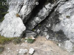 [P10] Adăpătoarea Caprelor » foto by Mika
 - 
<span class="allrVoted glyphicon glyphicon-heart hidden" id="av1195023"></span>
<a class="m-l-10 hidden" id="sv1195023" onclick="voting_Foto_DelVot(,1195023,5764)" role="button">șterge vot <span class="glyphicon glyphicon-remove"></span></a>
<a id="v91195023" class=" c-red"  onclick="voting_Foto_SetVot(1195023)" role="button"><span class="glyphicon glyphicon-heart-empty"></span> <b>LIKE</b> = Votează poza</a> <img class="hidden"  id="f1195023W9" src="/imagini/loader.gif" border="0" /><span class="AjErrMes hidden" id="e1195023ErM"></span>