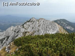 [P25] Creasta Nordică a Pietrei Craiului pe care urma să mergem » foto by Mika
 - 
<span class="allrVoted glyphicon glyphicon-heart hidden" id="av1195038"></span>
<a class="m-l-10 hidden" id="sv1195038" onclick="voting_Foto_DelVot(,1195038,5764)" role="button">șterge vot <span class="glyphicon glyphicon-remove"></span></a>
<a id="v91195038" class=" c-red"  onclick="voting_Foto_SetVot(1195038)" role="button"><span class="glyphicon glyphicon-heart-empty"></span> <b>LIKE</b> = Votează poza</a> <img class="hidden"  id="f1195038W9" src="/imagini/loader.gif" border="0" /><span class="AjErrMes hidden" id="e1195038ErM"></span>