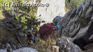 [P38] Am inceput descățărarea » foto by Mika
 - 
<span class="allrVoted glyphicon glyphicon-heart hidden" id="av1195051"></span>
<a class="m-l-10 hidden" id="sv1195051" onclick="voting_Foto_DelVot(,1195051,5764)" role="button">șterge vot <span class="glyphicon glyphicon-remove"></span></a>
<a id="v91195051" class=" c-red"  onclick="voting_Foto_SetVot(1195051)" role="button"><span class="glyphicon glyphicon-heart-empty"></span> <b>LIKE</b> = Votează poza</a> <img class="hidden"  id="f1195051W9" src="/imagini/loader.gif" border="0" /><span class="AjErrMes hidden" id="e1195051ErM"></span>