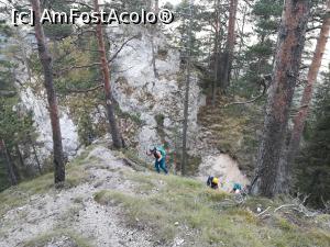 [P06] Spre Refugiul Speranțelor » foto by Mika
 - 
<span class="allrVoted glyphicon glyphicon-heart hidden" id="av1195019"></span>
<a class="m-l-10 hidden" id="sv1195019" onclick="voting_Foto_DelVot(,1195019,5764)" role="button">șterge vot <span class="glyphicon glyphicon-remove"></span></a>
<a id="v91195019" class=" c-red"  onclick="voting_Foto_SetVot(1195019)" role="button"><span class="glyphicon glyphicon-heart-empty"></span> <b>LIKE</b> = Votează poza</a> <img class="hidden"  id="f1195019W9" src="/imagini/loader.gif" border="0" /><span class="AjErrMes hidden" id="e1195019ErM"></span>