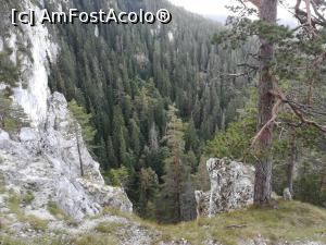 [P07] Spre Refugiul Speranțelor » foto by Mika
 - 
<span class="allrVoted glyphicon glyphicon-heart hidden" id="av1195020"></span>
<a class="m-l-10 hidden" id="sv1195020" onclick="voting_Foto_DelVot(,1195020,5764)" role="button">șterge vot <span class="glyphicon glyphicon-remove"></span></a>
<a id="v91195020" class=" c-red"  onclick="voting_Foto_SetVot(1195020)" role="button"><span class="glyphicon glyphicon-heart-empty"></span> <b>LIKE</b> = Votează poza</a> <img class="hidden"  id="f1195020W9" src="/imagini/loader.gif" border="0" /><span class="AjErrMes hidden" id="e1195020ErM"></span>