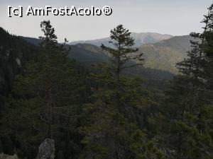 [P08] Spre Refugiul Speranțelor » foto by Mika
 - 
<span class="allrVoted glyphicon glyphicon-heart hidden" id="av1195021"></span>
<a class="m-l-10 hidden" id="sv1195021" onclick="voting_Foto_DelVot(,1195021,5764)" role="button">șterge vot <span class="glyphicon glyphicon-remove"></span></a>
<a id="v91195021" class=" c-red"  onclick="voting_Foto_SetVot(1195021)" role="button"><span class="glyphicon glyphicon-heart-empty"></span> <b>LIKE</b> = Votează poza</a> <img class="hidden"  id="f1195021W9" src="/imagini/loader.gif" border="0" /><span class="AjErrMes hidden" id="e1195021ErM"></span>