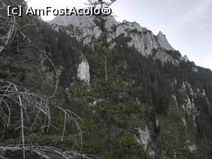[P09] Vedere spre Creasta dintre Țimbale » foto by Mika
 - 
<span class="allrVoted glyphicon glyphicon-heart hidden" id="av1195022"></span>
<a class="m-l-10 hidden" id="sv1195022" onclick="voting_Foto_DelVot(,1195022,5764)" role="button">șterge vot <span class="glyphicon glyphicon-remove"></span></a>
<a id="v91195022" class=" c-red"  onclick="voting_Foto_SetVot(1195022)" role="button"><span class="glyphicon glyphicon-heart-empty"></span> <b>LIKE</b> = Votează poza</a> <img class="hidden"  id="f1195022W9" src="/imagini/loader.gif" border="0" /><span class="AjErrMes hidden" id="e1195022ErM"></span>