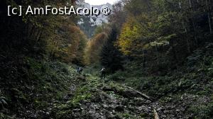 [P18] Urcare spre Castelul Crăiței » foto by Mika
 - 
<span class="allrVoted glyphicon glyphicon-heart hidden" id="av1480724"></span>
<a class="m-l-10 hidden" id="sv1480724" onclick="voting_Foto_DelVot(,1480724,5764)" role="button">șterge vot <span class="glyphicon glyphicon-remove"></span></a>
<a id="v91480724" class=" c-red"  onclick="voting_Foto_SetVot(1480724)" role="button"><span class="glyphicon glyphicon-heart-empty"></span> <b>LIKE</b> = Votează poza</a> <img class="hidden"  id="f1480724W9" src="/imagini/loader.gif" border="0" /><span class="AjErrMes hidden" id="e1480724ErM"></span>