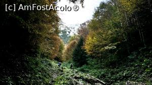 [P19] Urcare spre Castelul Crăiței » foto by Mika
 - 
<span class="allrVoted glyphicon glyphicon-heart hidden" id="av1480725"></span>
<a class="m-l-10 hidden" id="sv1480725" onclick="voting_Foto_DelVot(,1480725,5764)" role="button">șterge vot <span class="glyphicon glyphicon-remove"></span></a>
<a id="v91480725" class=" c-red"  onclick="voting_Foto_SetVot(1480725)" role="button"><span class="glyphicon glyphicon-heart-empty"></span> <b>LIKE</b> = Votează poza</a> <img class="hidden"  id="f1480725W9" src="/imagini/loader.gif" border="0" /><span class="AjErrMes hidden" id="e1480725ErM"></span>