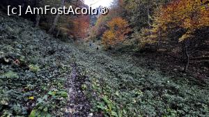 [P20] Urcare spre Castelul Crăiței » foto by Mika
 - 
<span class="allrVoted glyphicon glyphicon-heart hidden" id="av1480726"></span>
<a class="m-l-10 hidden" id="sv1480726" onclick="voting_Foto_DelVot(,1480726,5764)" role="button">șterge vot <span class="glyphicon glyphicon-remove"></span></a>
<a id="v91480726" class=" c-red"  onclick="voting_Foto_SetVot(1480726)" role="button"><span class="glyphicon glyphicon-heart-empty"></span> <b>LIKE</b> = Votează poza</a> <img class="hidden"  id="f1480726W9" src="/imagini/loader.gif" border="0" /><span class="AjErrMes hidden" id="e1480726ErM"></span>