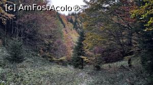 [P21] Urcare spre Castelul Crăiței » foto by Mika
 - 
<span class="allrVoted glyphicon glyphicon-heart hidden" id="av1480727"></span>
<a class="m-l-10 hidden" id="sv1480727" onclick="voting_Foto_DelVot(,1480727,5764)" role="button">șterge vot <span class="glyphicon glyphicon-remove"></span></a>
<a id="v91480727" class=" c-red"  onclick="voting_Foto_SetVot(1480727)" role="button"><span class="glyphicon glyphicon-heart-empty"></span> <b>LIKE</b> = Votează poza</a> <img class="hidden"  id="f1480727W9" src="/imagini/loader.gif" border="0" /><span class="AjErrMes hidden" id="e1480727ErM"></span>