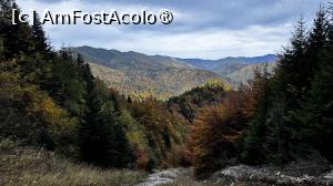 [P23] Urcare spre Castelul Crăiței » foto by Mika
 - 
<span class="allrVoted glyphicon glyphicon-heart hidden" id="av1480729"></span>
<a class="m-l-10 hidden" id="sv1480729" onclick="voting_Foto_DelVot(,1480729,5764)" role="button">șterge vot <span class="glyphicon glyphicon-remove"></span></a>
<a id="v91480729" class=" c-red"  onclick="voting_Foto_SetVot(1480729)" role="button"><span class="glyphicon glyphicon-heart-empty"></span> <b>LIKE</b> = Votează poza</a> <img class="hidden"  id="f1480729W9" src="/imagini/loader.gif" border="0" /><span class="AjErrMes hidden" id="e1480729ErM"></span>