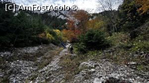 [P24] Urcare spre Castelul Crăiței » foto by Mika
 - 
<span class="allrVoted glyphicon glyphicon-heart hidden" id="av1480730"></span>
<a class="m-l-10 hidden" id="sv1480730" onclick="voting_Foto_DelVot(,1480730,5764)" role="button">șterge vot <span class="glyphicon glyphicon-remove"></span></a>
<a id="v91480730" class=" c-red"  onclick="voting_Foto_SetVot(1480730)" role="button"><span class="glyphicon glyphicon-heart-empty"></span> <b>LIKE</b> = Votează poza</a> <img class="hidden"  id="f1480730W9" src="/imagini/loader.gif" border="0" /><span class="AjErrMes hidden" id="e1480730ErM"></span>