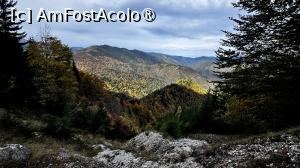 [P25] Urcare spre Castelul Crăiței » foto by Mika
 - 
<span class="allrVoted glyphicon glyphicon-heart hidden" id="av1480731"></span>
<a class="m-l-10 hidden" id="sv1480731" onclick="voting_Foto_DelVot(,1480731,5764)" role="button">șterge vot <span class="glyphicon glyphicon-remove"></span></a>
<a id="v91480731" class=" c-red"  onclick="voting_Foto_SetVot(1480731)" role="button"><span class="glyphicon glyphicon-heart-empty"></span> <b>LIKE</b> = Votează poza</a> <img class="hidden"  id="f1480731W9" src="/imagini/loader.gif" border="0" /><span class="AjErrMes hidden" id="e1480731ErM"></span>