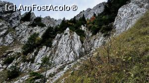 [P30] Spre Canionul Anghelide » foto by Mika
 - 
<span class="allrVoted glyphicon glyphicon-heart hidden" id="av1480736"></span>
<a class="m-l-10 hidden" id="sv1480736" onclick="voting_Foto_DelVot(,1480736,5764)" role="button">șterge vot <span class="glyphicon glyphicon-remove"></span></a>
<a id="v91480736" class=" c-red"  onclick="voting_Foto_SetVot(1480736)" role="button"><span class="glyphicon glyphicon-heart-empty"></span> <b>LIKE</b> = Votează poza</a> <img class="hidden"  id="f1480736W9" src="/imagini/loader.gif" border="0" /><span class="AjErrMes hidden" id="e1480736ErM"></span>