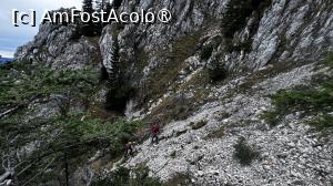 [P31] Spre Canionul Anghelide » foto by Mika
 - 
<span class="allrVoted glyphicon glyphicon-heart hidden" id="av1480737"></span>
<a class="m-l-10 hidden" id="sv1480737" onclick="voting_Foto_DelVot(,1480737,5764)" role="button">șterge vot <span class="glyphicon glyphicon-remove"></span></a>
<a id="v91480737" class=" c-red"  onclick="voting_Foto_SetVot(1480737)" role="button"><span class="glyphicon glyphicon-heart-empty"></span> <b>LIKE</b> = Votează poza</a> <img class="hidden"  id="f1480737W9" src="/imagini/loader.gif" border="0" /><span class="AjErrMes hidden" id="e1480737ErM"></span>