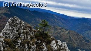 [P33] Spre Canionul Anghelide » foto by Mika
 - 
<span class="allrVoted glyphicon glyphicon-heart hidden" id="av1480739"></span>
<a class="m-l-10 hidden" id="sv1480739" onclick="voting_Foto_DelVot(,1480739,5764)" role="button">șterge vot <span class="glyphicon glyphicon-remove"></span></a>
<a id="v91480739" class=" c-red"  onclick="voting_Foto_SetVot(1480739)" role="button"><span class="glyphicon glyphicon-heart-empty"></span> <b>LIKE</b> = Votează poza</a> <img class="hidden"  id="f1480739W9" src="/imagini/loader.gif" border="0" /><span class="AjErrMes hidden" id="e1480739ErM"></span>