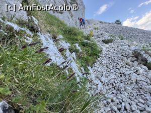 [P12] Spre Padina Lancii » foto by Mika
 - 
<span class="allrVoted glyphicon glyphicon-heart hidden" id="av1491768"></span>
<a class="m-l-10 hidden" id="sv1491768" onclick="voting_Foto_DelVot(,1491768,5764)" role="button">șterge vot <span class="glyphicon glyphicon-remove"></span></a>
<a id="v91491768" class=" c-red"  onclick="voting_Foto_SetVot(1491768)" role="button"><span class="glyphicon glyphicon-heart-empty"></span> <b>LIKE</b> = Votează poza</a> <img class="hidden"  id="f1491768W9" src="/imagini/loader.gif" border="0" /><span class="AjErrMes hidden" id="e1491768ErM"></span>