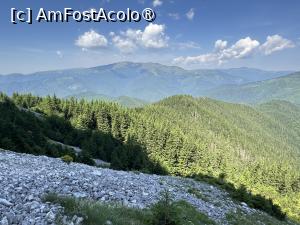 [P14] Spre Padina Lancii » foto by Mika
 - 
<span class="allrVoted glyphicon glyphicon-heart hidden" id="av1491770"></span>
<a class="m-l-10 hidden" id="sv1491770" onclick="voting_Foto_DelVot(,1491770,5764)" role="button">șterge vot <span class="glyphicon glyphicon-remove"></span></a>
<a id="v91491770" class=" c-red"  onclick="voting_Foto_SetVot(1491770)" role="button"><span class="glyphicon glyphicon-heart-empty"></span> <b>LIKE</b> = Votează poza</a> <img class="hidden"  id="f1491770W9" src="/imagini/loader.gif" border="0" /><span class="AjErrMes hidden" id="e1491770ErM"></span>