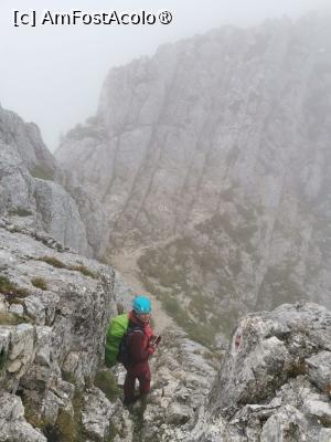 [P20] Creasta Nordică a Craiului » foto by Mika
 - 
<span class="allrVoted glyphicon glyphicon-heart hidden" id="av1508287"></span>
<a class="m-l-10 hidden" id="sv1508287" onclick="voting_Foto_DelVot(,1508287,5764)" role="button">șterge vot <span class="glyphicon glyphicon-remove"></span></a>
<a id="v91508287" class=" c-red"  onclick="voting_Foto_SetVot(1508287)" role="button"><span class="glyphicon glyphicon-heart-empty"></span> <b>LIKE</b> = Votează poza</a> <img class="hidden"  id="f1508287W9" src="/imagini/loader.gif" border="0" /><span class="AjErrMes hidden" id="e1508287ErM"></span>