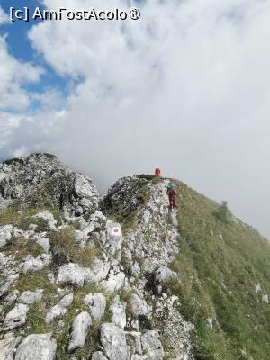 [P22] Creasta Nordică a Craiului » foto by Mika
 - 
<span class="allrVoted glyphicon glyphicon-heart hidden" id="av1508289"></span>
<a class="m-l-10 hidden" id="sv1508289" onclick="voting_Foto_DelVot(,1508289,5764)" role="button">șterge vot <span class="glyphicon glyphicon-remove"></span></a>
<a id="v91508289" class=" c-red"  onclick="voting_Foto_SetVot(1508289)" role="button"><span class="glyphicon glyphicon-heart-empty"></span> <b>LIKE</b> = Votează poza</a> <img class="hidden"  id="f1508289W9" src="/imagini/loader.gif" border="0" /><span class="AjErrMes hidden" id="e1508289ErM"></span>