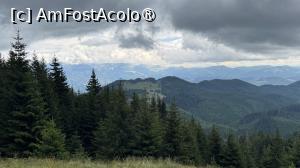 [P36] În Piatră Craiului » foto by Mika
 - 
<span class="allrVoted glyphicon glyphicon-heart hidden" id="av1508303"></span>
<a class="m-l-10 hidden" id="sv1508303" onclick="voting_Foto_DelVot(,1508303,5764)" role="button">șterge vot <span class="glyphicon glyphicon-remove"></span></a>
<a id="v91508303" class=" c-red"  onclick="voting_Foto_SetVot(1508303)" role="button"><span class="glyphicon glyphicon-heart-empty"></span> <b>LIKE</b> = Votează poza</a> <img class="hidden"  id="f1508303W9" src="/imagini/loader.gif" border="0" /><span class="AjErrMes hidden" id="e1508303ErM"></span>