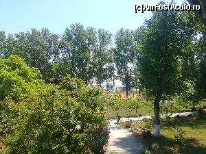 [P04] vedere de pe balcon spre gradina umbroasa cu trandafiri » foto by lady_anca81
 - 
<span class="allrVoted glyphicon glyphicon-heart hidden" id="av623860"></span>
<a class="m-l-10 hidden" id="sv623860" onclick="voting_Foto_DelVot(,623860,5809)" role="button">șterge vot <span class="glyphicon glyphicon-remove"></span></a>
<a id="v9623860" class=" c-red"  onclick="voting_Foto_SetVot(623860)" role="button"><span class="glyphicon glyphicon-heart-empty"></span> <b>LIKE</b> = Votează poza</a> <img class="hidden"  id="f623860W9" src="/imagini/loader.gif" border="0" /><span class="AjErrMes hidden" id="e623860ErM"></span>