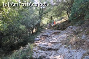 [P40] Creta, Platoul Lasithi, Poteca spre Peștera lui Zeus trece peste pietre și mai neprietenoase…. » foto by mprofeanu
 - 
<span class="allrVoted glyphicon glyphicon-heart hidden" id="av1282419"></span>
<a class="m-l-10 hidden" id="sv1282419" onclick="voting_Foto_DelVot(,1282419,5820)" role="button">șterge vot <span class="glyphicon glyphicon-remove"></span></a>
<a id="v91282419" class=" c-red"  onclick="voting_Foto_SetVot(1282419)" role="button"><span class="glyphicon glyphicon-heart-empty"></span> <b>LIKE</b> = Votează poza</a> <img class="hidden"  id="f1282419W9" src="/imagini/loader.gif" border="0" /><span class="AjErrMes hidden" id="e1282419ErM"></span>