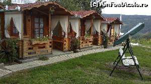 [P06]  -- <small>// FĂRĂ DESCRIERE</small> » foto by niculae gelu
 - 
<span class="allrVoted glyphicon glyphicon-heart hidden" id="av651133"></span>
<a class="m-l-10 hidden" id="sv651133" onclick="voting_Foto_DelVot(,651133,5840)" role="button">șterge vot <span class="glyphicon glyphicon-remove"></span></a>
<a id="v9651133" class=" c-red"  onclick="voting_Foto_SetVot(651133)" role="button"><span class="glyphicon glyphicon-heart-empty"></span> <b>LIKE</b> = Votează poza</a> <img class="hidden"  id="f651133W9" src="/imagini/loader.gif" border="0" /><span class="AjErrMes hidden" id="e651133ErM"></span>