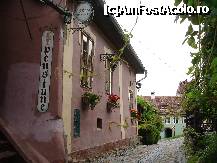 [P09]  -- <small>// FĂRĂ DESCRIERE</small> » foto by susu
 - 
<span class="allrVoted glyphicon glyphicon-heart hidden" id="av236714"></span>
<a class="m-l-10 hidden" id="sv236714" onclick="voting_Foto_DelVot(,236714,5855)" role="button">șterge vot <span class="glyphicon glyphicon-remove"></span></a>
<a id="v9236714" class=" c-red"  onclick="voting_Foto_SetVot(236714)" role="button"><span class="glyphicon glyphicon-heart-empty"></span> <b>LIKE</b> = Votează poza</a> <img class="hidden"  id="f236714W9" src="/imagini/loader.gif" border="0" /><span class="AjErrMes hidden" id="e236714ErM"></span>