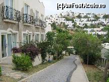 [P12]  -- <small>// FĂRĂ DESCRIERE</small> » foto by MARIA-ADRIANA*
 - 
<span class="allrVoted glyphicon glyphicon-heart hidden" id="av78293"></span>
<a class="m-l-10 hidden" id="sv78293" onclick="voting_Foto_DelVot(,78293,5859)" role="button">șterge vot <span class="glyphicon glyphicon-remove"></span></a>
<a id="v978293" class=" c-red"  onclick="voting_Foto_SetVot(78293)" role="button"><span class="glyphicon glyphicon-heart-empty"></span> <b>LIKE</b> = Votează poza</a> <img class="hidden"  id="f78293W9" src="/imagini/loader.gif" border="0" /><span class="AjErrMes hidden" id="e78293ErM"></span>