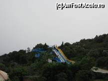 [P21]  -- <small>// FĂRĂ DESCRIERE</small> » foto by MARIA-ADRIANA*
 - 
<span class="allrVoted glyphicon glyphicon-heart hidden" id="av78305"></span>
<a class="m-l-10 hidden" id="sv78305" onclick="voting_Foto_DelVot(,78305,5859)" role="button">șterge vot <span class="glyphicon glyphicon-remove"></span></a>
<a id="v978305" class=" c-red"  onclick="voting_Foto_SetVot(78305)" role="button"><span class="glyphicon glyphicon-heart-empty"></span> <b>LIKE</b> = Votează poza</a> <img class="hidden"  id="f78305W9" src="/imagini/loader.gif" border="0" /><span class="AjErrMes hidden" id="e78305ErM"></span>