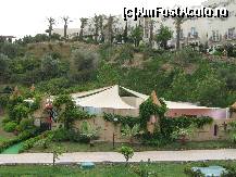 [P22]  -- <small>// FĂRĂ DESCRIERE</small> » foto by MARIA-ADRIANA*
 - 
<span class="allrVoted glyphicon glyphicon-heart hidden" id="av78306"></span>
<a class="m-l-10 hidden" id="sv78306" onclick="voting_Foto_DelVot(,78306,5859)" role="button">șterge vot <span class="glyphicon glyphicon-remove"></span></a>
<a id="v978306" class=" c-red"  onclick="voting_Foto_SetVot(78306)" role="button"><span class="glyphicon glyphicon-heart-empty"></span> <b>LIKE</b> = Votează poza</a> <img class="hidden"  id="f78306W9" src="/imagini/loader.gif" border="0" /><span class="AjErrMes hidden" id="e78306ErM"></span>