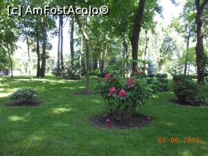 [P26] Vaslui - Parcul Copou vara. » foto by iulianic
 - 
<span class="allrVoted glyphicon glyphicon-heart hidden" id="av1296856"></span>
<a class="m-l-10 hidden" id="sv1296856" onclick="voting_Foto_DelVot(,1296856,5873)" role="button">șterge vot <span class="glyphicon glyphicon-remove"></span></a>
<a id="v91296856" class=" c-red"  onclick="voting_Foto_SetVot(1296856)" role="button"><span class="glyphicon glyphicon-heart-empty"></span> <b>LIKE</b> = Votează poza</a> <img class="hidden"  id="f1296856W9" src="/imagini/loader.gif" border="0" /><span class="AjErrMes hidden" id="e1296856ErM"></span>